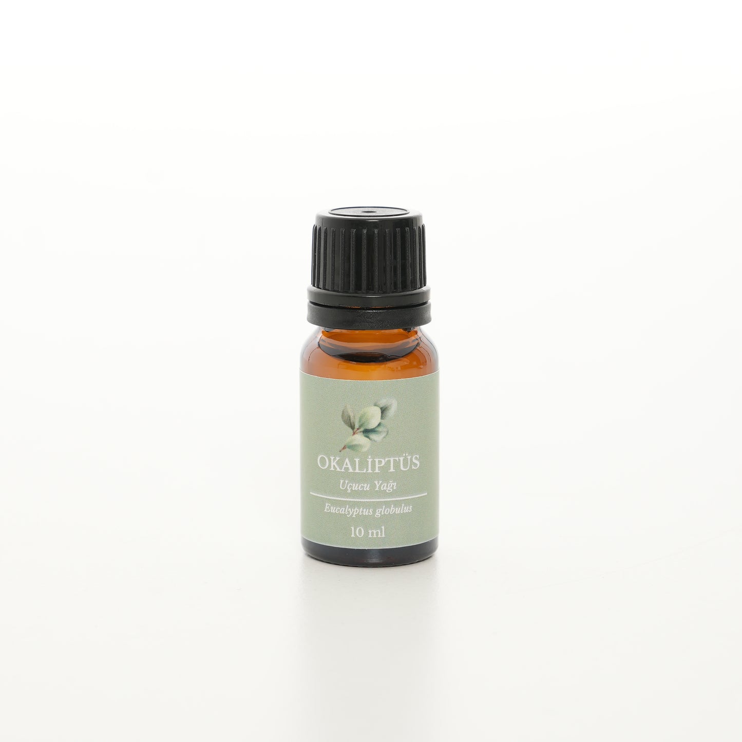 Okaliptüs Uçucu Yağ